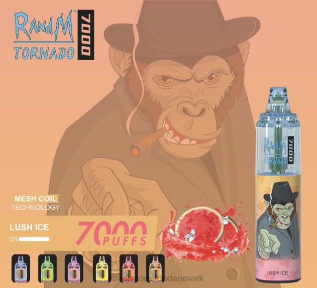 RandM vape Danmark - RandM Tornado 7000 luftstrømskontrol vape enhed 1 stk frodig is L08B165 RandM vape Danmark - RandM Tornado 7000 luftstrømskontrol vape enhed 1 stk frodig is L08B165